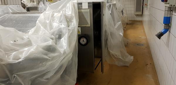 2#4066 Linea di produzione di pizze Iteca in vendita - foto 15