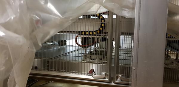 2#4066 Linea di produzione di pizze Iteca in vendita - foto 17