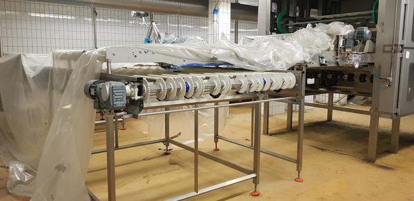 2#4066 Linea di produzione di pizze Iteca in vendita - foto 22