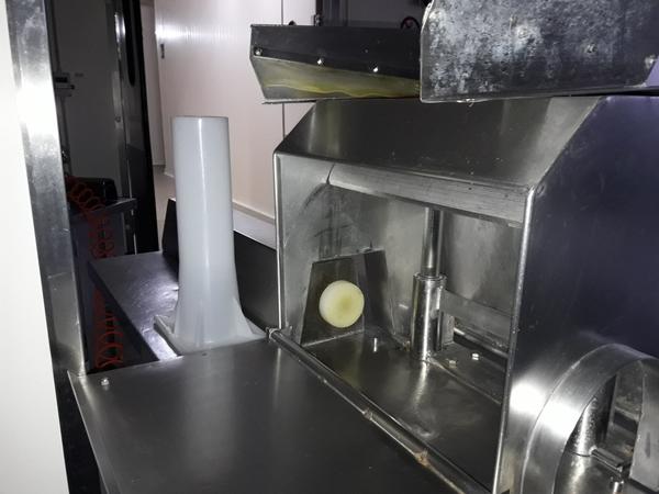 33#4068 Pressa insaccatrice inox Tecnomeccanica in vendita - foto 4