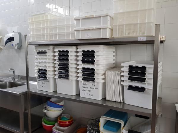 6#4092 Attrezzature per cucine industriali e scaffalatura in vendita - foto 60