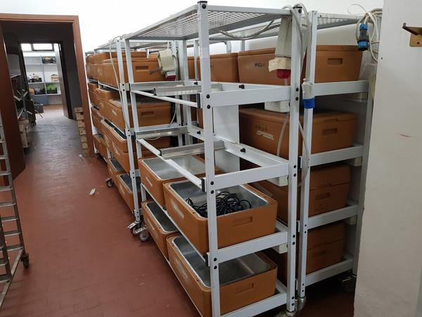 7#4092 Banco frigo per alimenti e bilance in vendita - foto 2