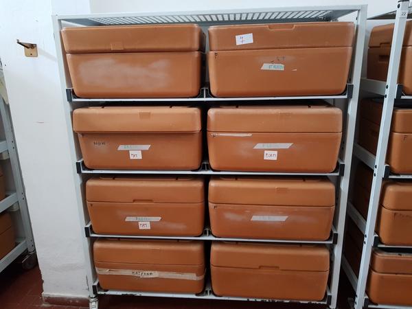 7#4092 Banco frigo per alimenti e bilance in vendita - foto 7