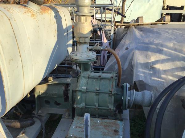 2#4112 Carrello pompa Caprari per irrigazione in vendita - foto 2