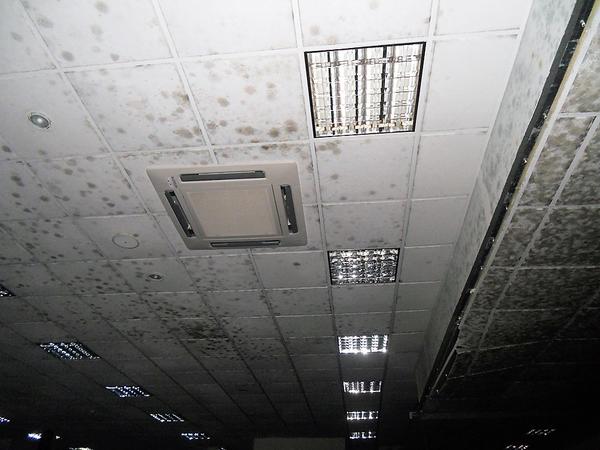 4#4123 Plafoniere per illuminazione in vendita - foto 7