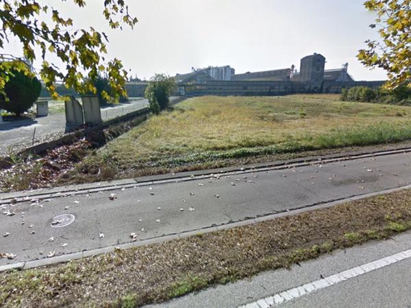 2#4154 Quota di partecipazione del 70% del capitale di Alnus Srl in vendita - foto 5