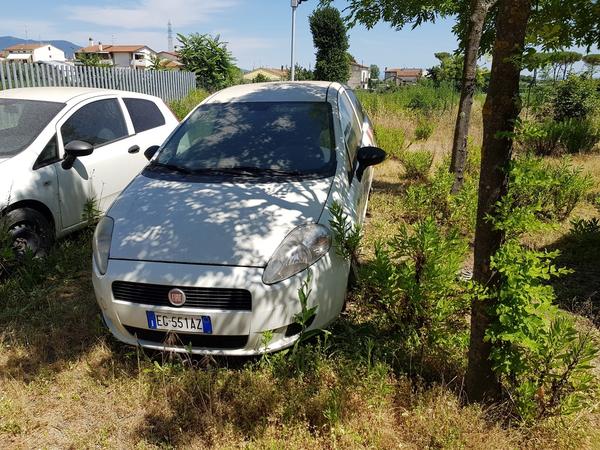 Autocarri in vendita
