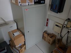 Cassaforte Caimano e stampante Samsung - Lotto 44 (Asta 4176)