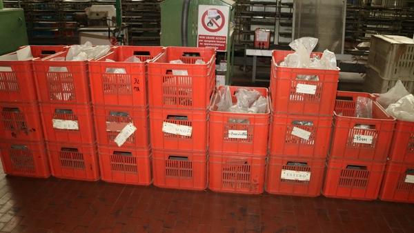 32#4214 Carrelli porta suole e scaffalature in vendita - foto 6