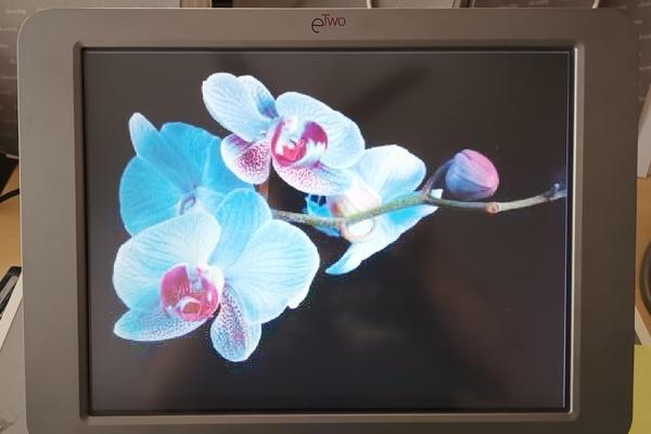 2#4215 SYNERON Etwo in vendita - foto 6