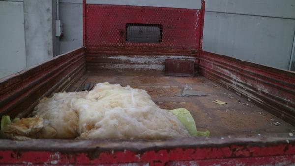 7#4224 Furgone Fiat 40NC in vendita - foto 14