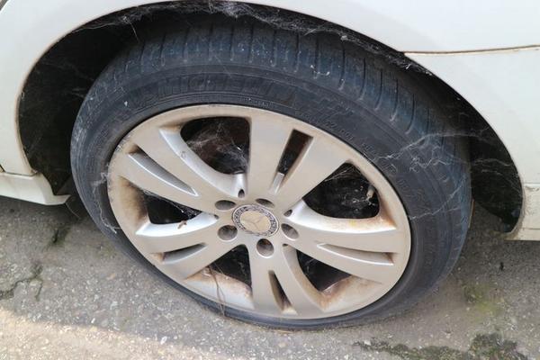 13#4227 Mercedes C250 in vendita - foto 10