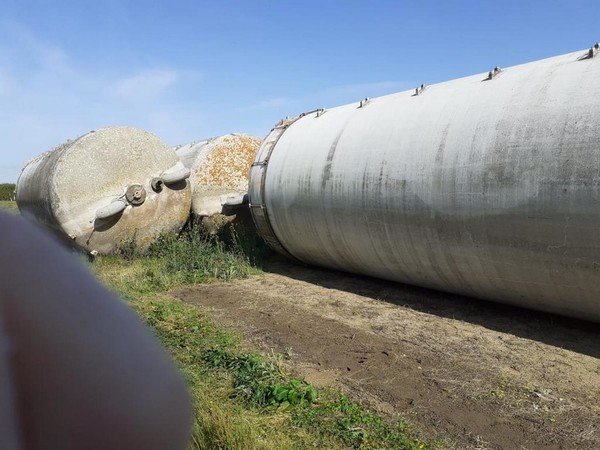 26#4264 N°5 silos in vetroresina per cereali in vendita - foto 3
