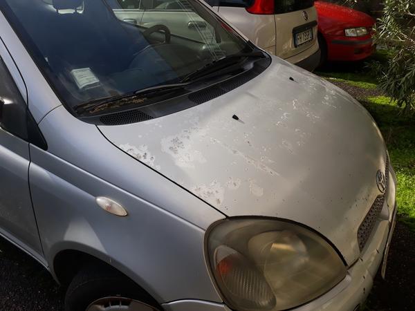 3#4279 Autovettura Toyota Yaris in vendita - foto 5