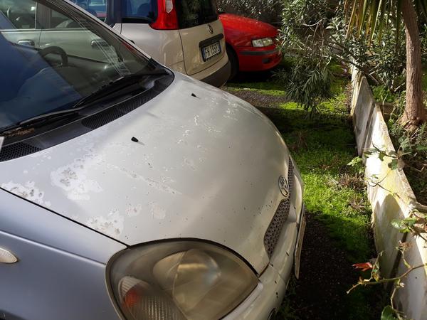 3#4279 Autovettura Toyota Yaris in vendita - foto 6