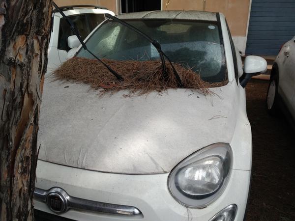 1#4309 Veicoli Fiat e Jeep privi di Certificati di Conformità in vendita - foto 46