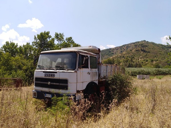 Autocarri in vendita