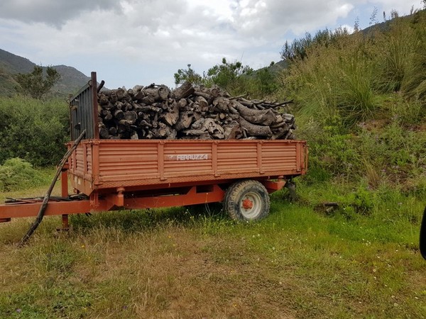 9#4335 Attrezzature agricole in vendita - foto 34