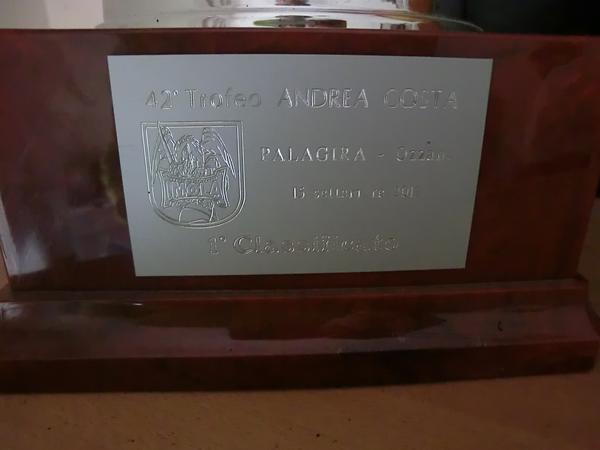1#4342 Arredi e cimeli della Società Fulgor Libertas Basket Forlì in vendita - foto 62