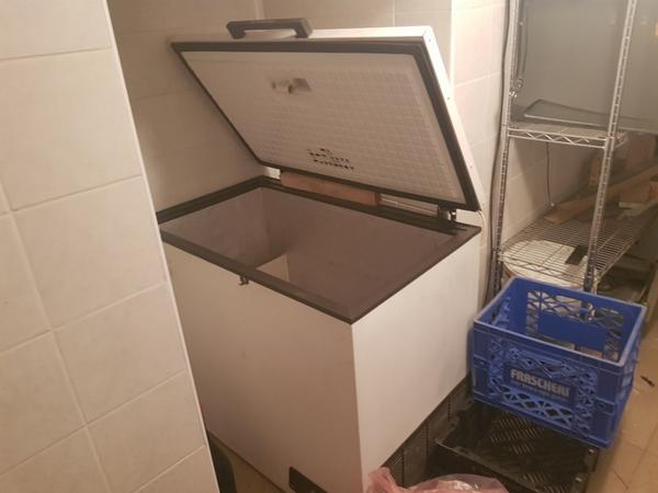 1#4348 Cella di lievitazione Tecnomac e macchinari per panificio in vendita - foto 13