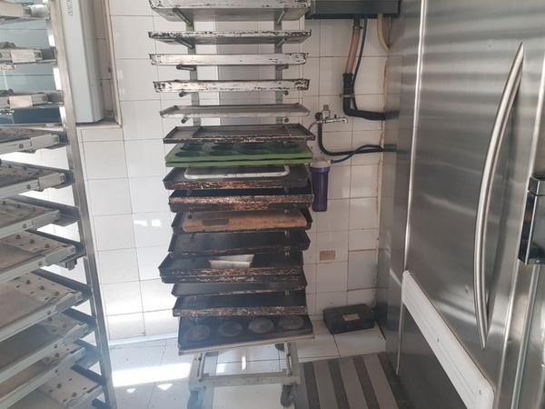 1#4348 Cella di lievitazione Tecnomac e macchinari per panificio in vendita - foto 20