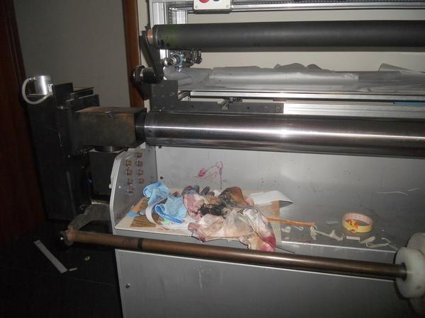 1#4356 Macchine da stampa flessografiche Bonardi e Multipress in vendita - foto 169