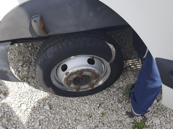 1#4362 Autocarro allestito frigo in vendita - foto 3