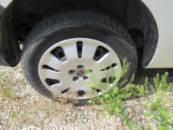 3#4383 Furgone Fiat Doblò Maxi in vendita - foto 7
