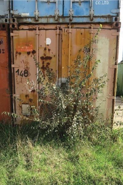 148#4390 Container in vendita - foto 2