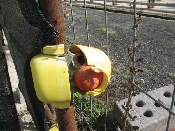 1#43900 Gru Comedil e attrezzatura edile in vendita - foto 23