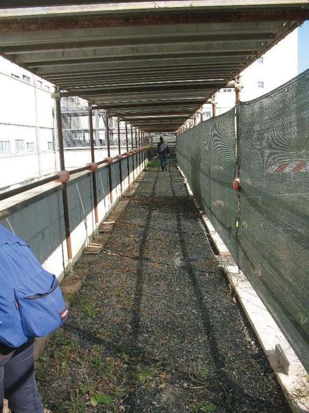 1#43900 Gru Comedil e attrezzatura edile in vendita - foto 24