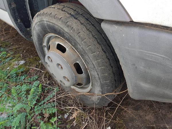 1114#4393 Autocarro Iveco in vendita - foto 10