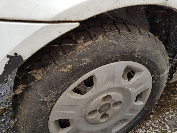 1145#4393 Autocarro Fiat Punto Van in vendita - foto 9