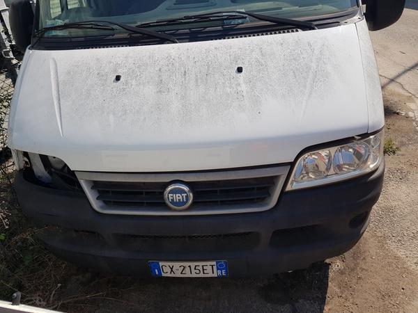 1170#4393 Autocarro Fiat Ducato cassonato in vendita - foto 2