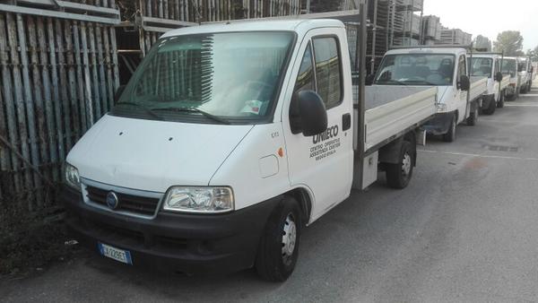 1173#4393 Autocarro Fiat Ducato cassonato in vendita - foto 16