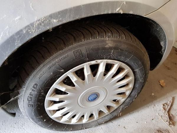 2041#4393 Autovettura Fiat Stilo in vendita - foto 7