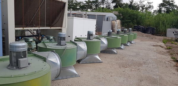 36#4424 Ventilatori centrifughi a bassa pressione in vendita - foto 5