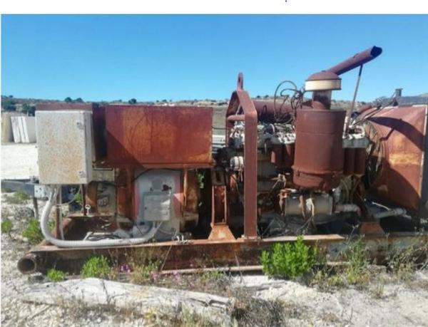 55#44310 Gruppi elettrogeni in vendita - foto 3