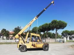 Sard D 90 LPM Cranes - Lote 3 (Subasta 4454)