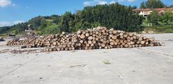Wood - Lot 1 (Auction 4464)