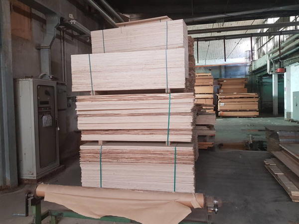 3#4464 Prodotti per lavorazione legname in vendita - foto 13
