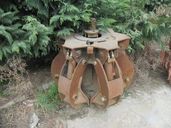 33#44740 Ragni varie misure  in vendita - foto 4