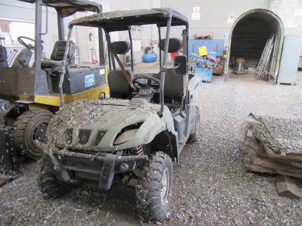 9#44740 Quadzilla in vendita - foto 2