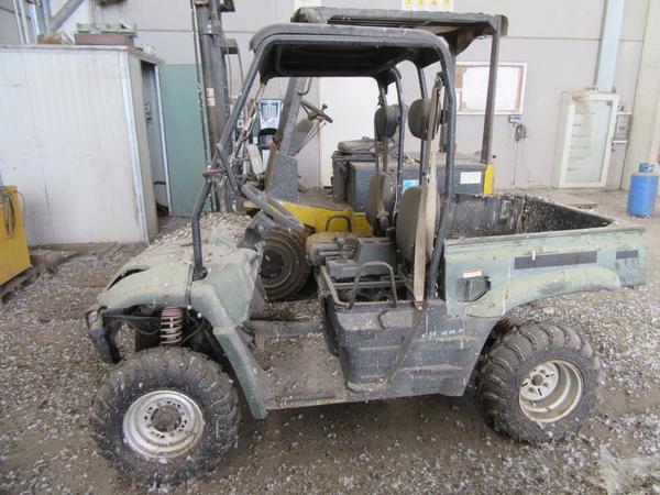 9#44740 Quadzilla in vendita - foto 3