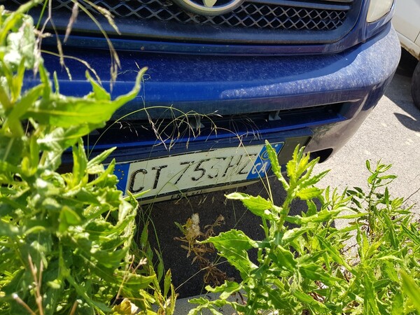102#4479 Toyota RAV4 in vendita - foto 11