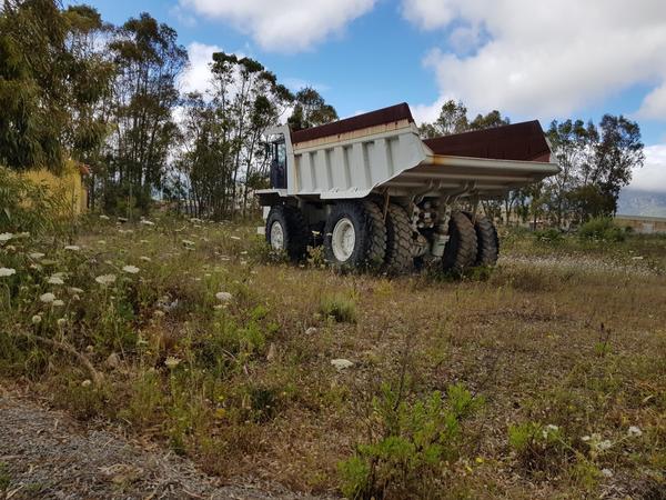 16#4479 Dumper Terex in vendita - foto 13