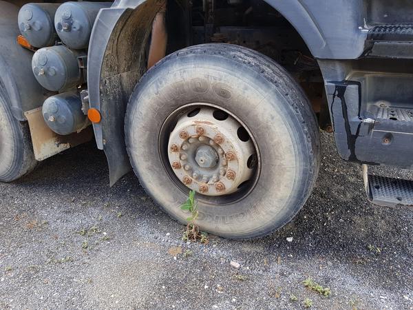 60#4479 Camion Iveco in vendita - foto 5