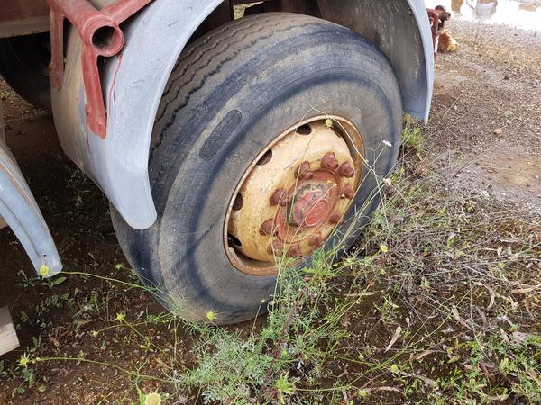 73#4479 Trattore Iveco e semirimorchi in vendita - foto 53