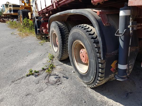 73#4479 Trattore Iveco e semirimorchi in vendita - foto 92