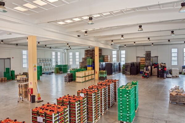 1#4509 Cessione di azienda in vendita - foto 1